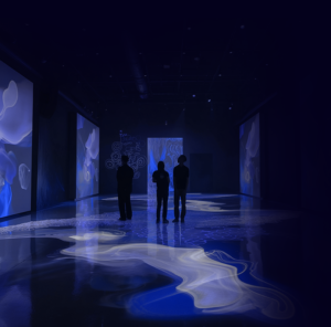 Projection Mapping